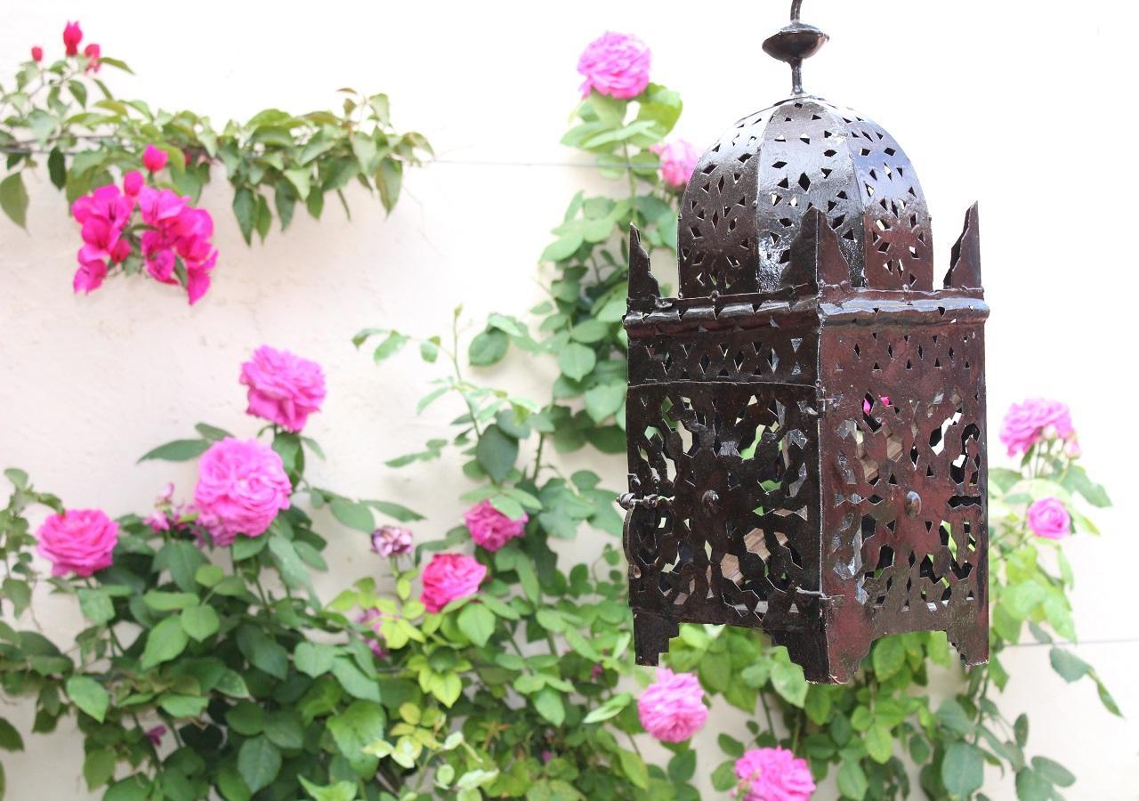 Finca Dona Sofia Maria San Pedro del Pinatar Ngoại thất bức ảnh