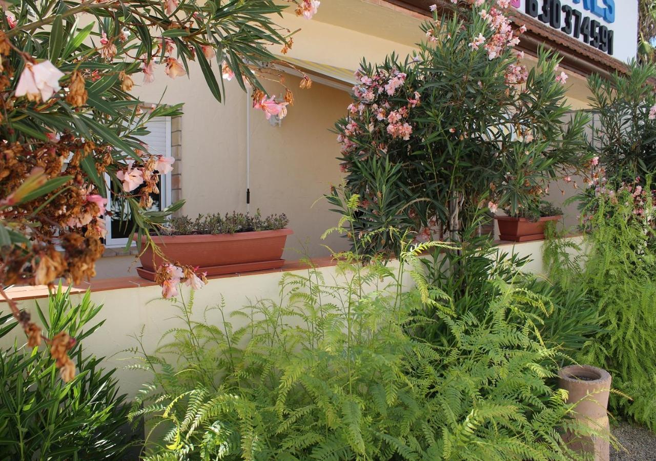 Finca Dona Sofia Maria San Pedro del Pinatar Ngoại thất bức ảnh